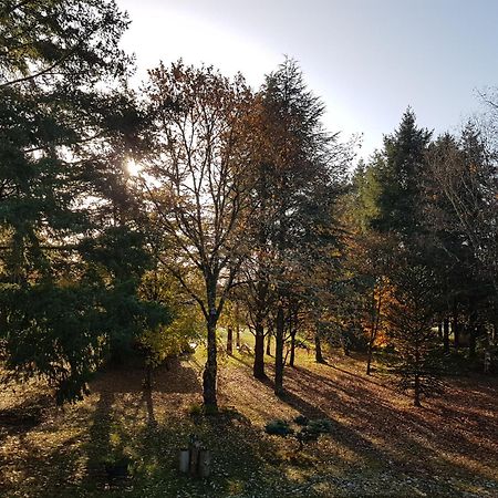 Le Clos Des Ecureuils Vouzon Eksteriør bilde