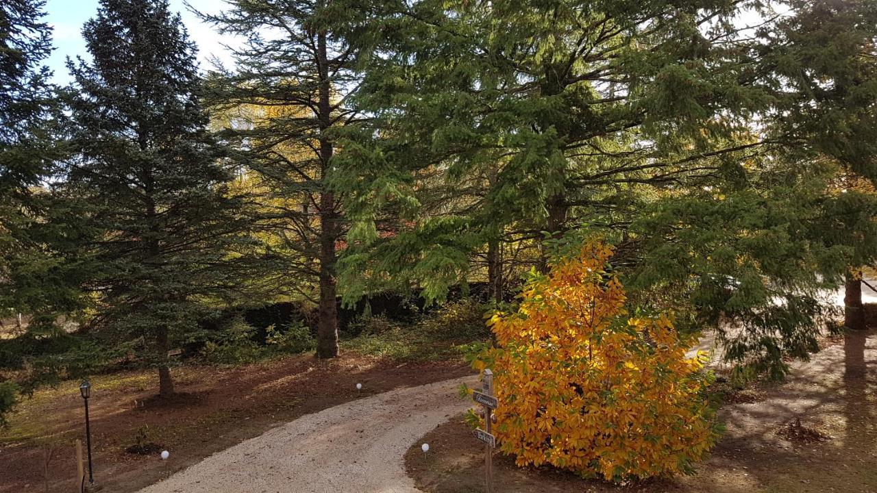 Le Clos Des Ecureuils Vouzon Eksteriør bilde