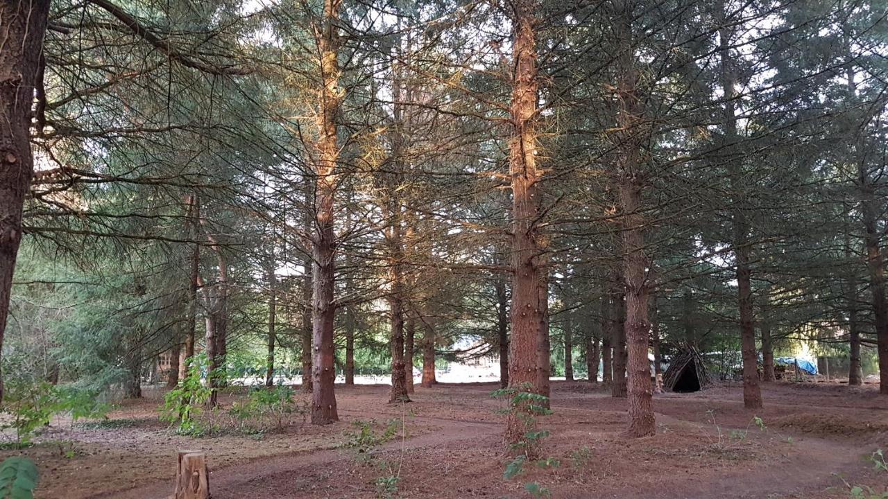 Le Clos Des Ecureuils Vouzon Eksteriør bilde