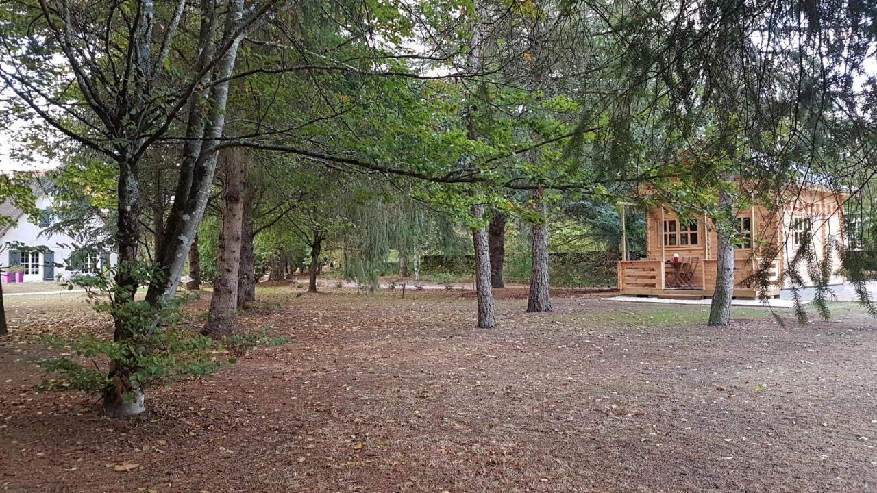 Le Clos Des Ecureuils Vouzon Eksteriør bilde